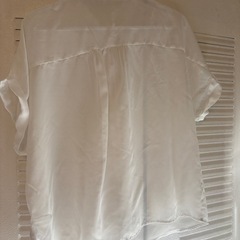 レース襟 半袖ブラウス 白 シアーシャツの画像