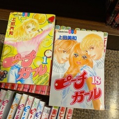 ・ピーチガール　全18巻セット ・裏ピーチガール　全3巻セット ・ピーチガールNEXT　全8巻セット  上田美和　29冊セットの画像