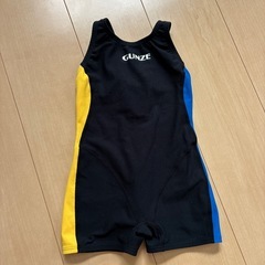 GUNZE水着、バックの画像