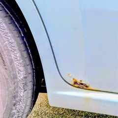 日産モコの画像