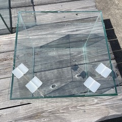 水槽　　30cmキューブ水槽　GEXアクアリスタの画像