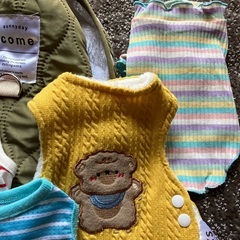 子犬　服　まとめてお譲りの画像