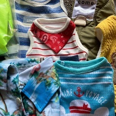 子犬　服　まとめてお譲りの画像