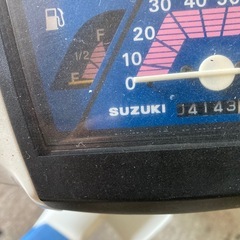 スズキモレの画像