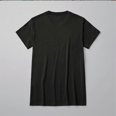 グンゼ　クールネックTシャツ　黒2枚　新品の画像