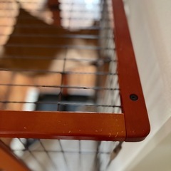 猫用ケージの画像