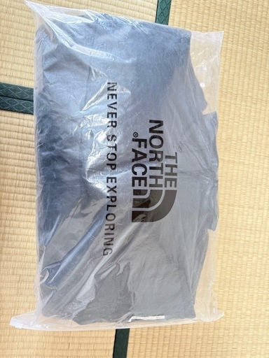 The North Face ダウンジャケット