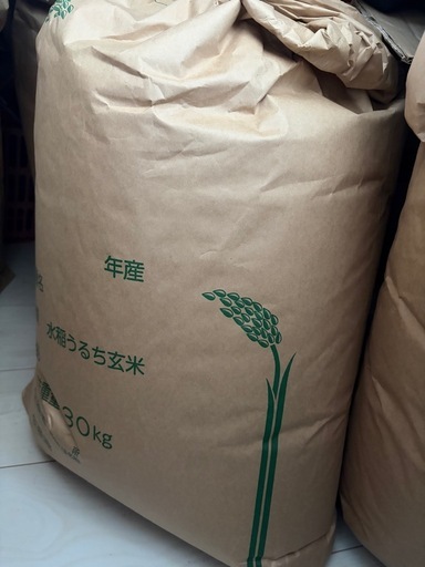 【1袋のみ3月末まで】令和7年度産 群馬県 コシヒカリ30kg 1袋  