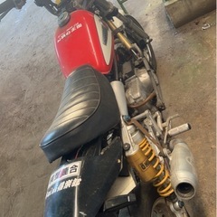 モンキー画像の画像