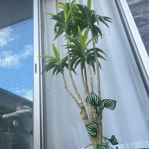 観葉植物 フェイクグリーン 人工観葉植物 人工樹木