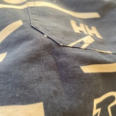 HELLYHANSEN 水陸両用ショートパンツの画像