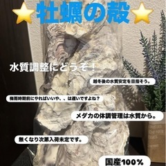 ⭐️メダカグッズ⭐️宇都宮カワチ薬品上三川インターパーク店あぜ道コーナー　の画像