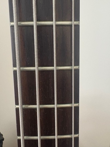 Warwick ベース　RockBassシリーズ  Streamer LX