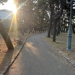 お喋りウォーキング🌃🐾✨