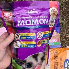 モモンガ用品の画像