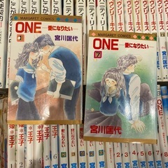 ・ONE　愛になりない　全7巻  ・ONE Final 未来のエスキース　全8巻  ・ヘブンリーキス　全8巻  ・殿*姫*王子　全6巻  ・空より高く　全4巻  ・バニティ・リーグ　全4巻  ・天使契約　全3巻  ・ここが愛の真ん中　全5巻   宮川匡代　45冊セット の画像