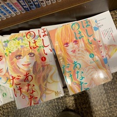 ・未成熟　全7巻セット ・こっちにおいでよ。全7巻セット ・ほしいのは、あなただけ。全5巻セット  Maria　19冊セットの画像