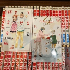 ・恋愛カラログ　全34巻セット ・好きって言わせる方法　全9巻セット ・甘いのはお好き？　全3巻セット  永田正実　46冊セットの画像