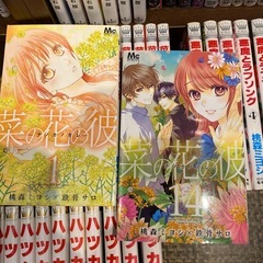 ・菜の花の彼　全14巻セット ・ハツカレ　全10巻セット ・悪魔とラブソング　全13巻セット  桃森ミヨシ　37冊セットの画像