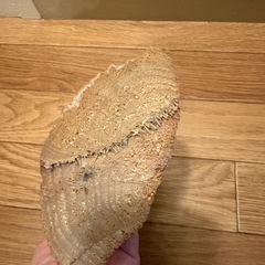 イルカの置物の画像