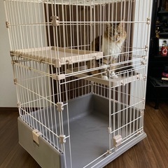 猫用ケージの画像