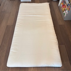 【無料】抗菌防臭防ダニ敷布団 シングル ニトリの画像