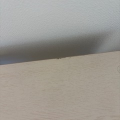 本棚•カラーボックスの画像