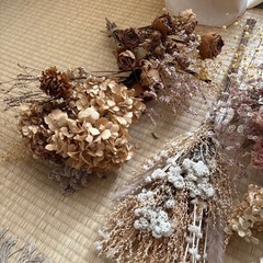ドライフラワーの画像