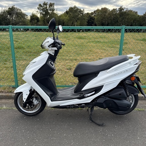 シグナスXワンオーナー6100キロ シグナスXワンオーナー6100キロの通販はau PAY マーケット - 輸入雑貨