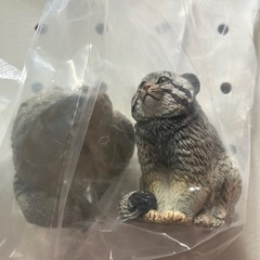 野生のネコ科動物いきもの大図鑑DISPLAY MOOELユキヒョウ、マヌルネコの画像