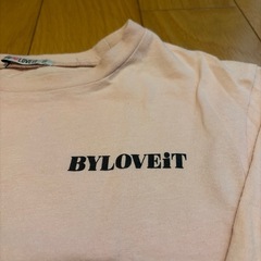 バイラビットロンTピンク120の画像