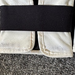 Twins ボクシンググローブの画像