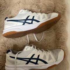 体育館履き27.5の画像