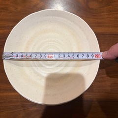 食器　メラミン　丸皿　飲食店　プレート　料理　食器の画像