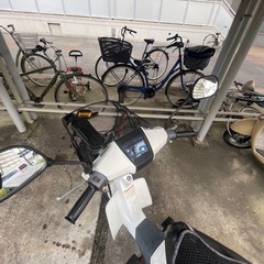 スズキ スーパーモレ 50ccの画像