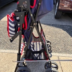 ペットカート(リッチェル)の画像