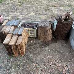 残り僅か、貴重な桜の木等の広葉樹　、下に引いてるパレット2枚もどうぞ(無料)
の画像