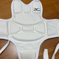 空手　胴当ての画像