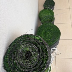 人口芝❗️の画像