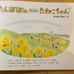 たんぽぽのちいさいたねこちゃんの画像