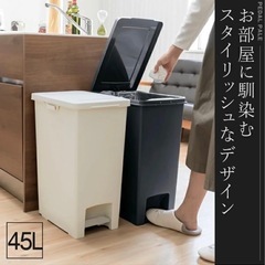 45Lゴミ箱　ふたつの画像