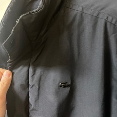 LACOSTEの画像