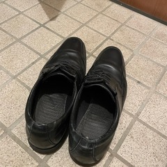 ミズノ　　エクスライト　UT (ヴォーキング)シューズの画像