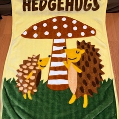 子供用 毛布 2枚の画像