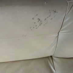 ソファーベットの画像