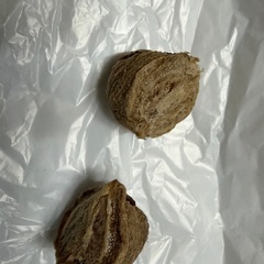 オオカマキリの卵　の画像