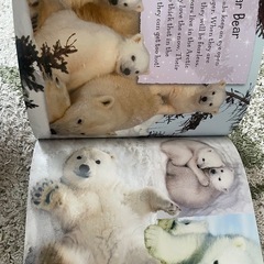 <英語絵本>Snow Babies の画像