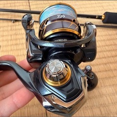 ダイワ　21カルディア　LT3000-CXHの画像