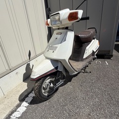 希少　
初代シグナス125 の画像