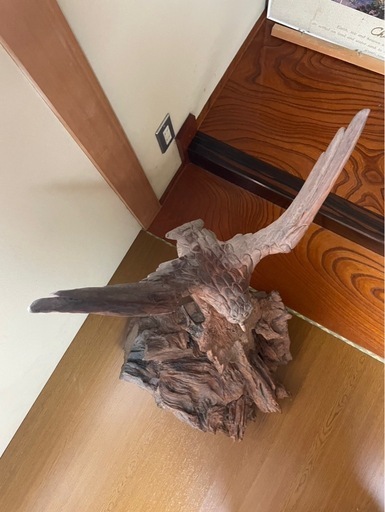木彫りの鷲(ワシ)